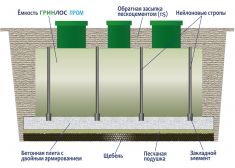Гринлос Пром 60
